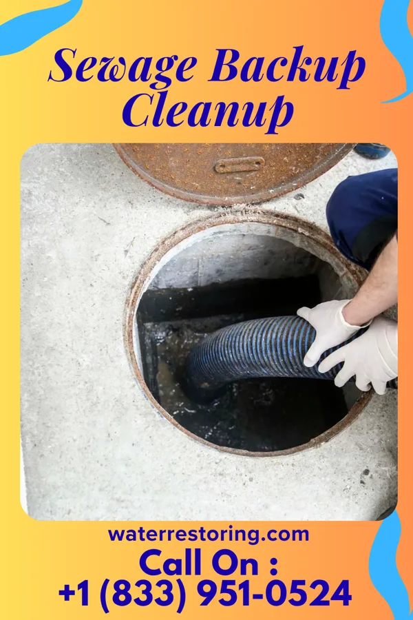 Sewage Backup Cleanup in Weweantic, MA