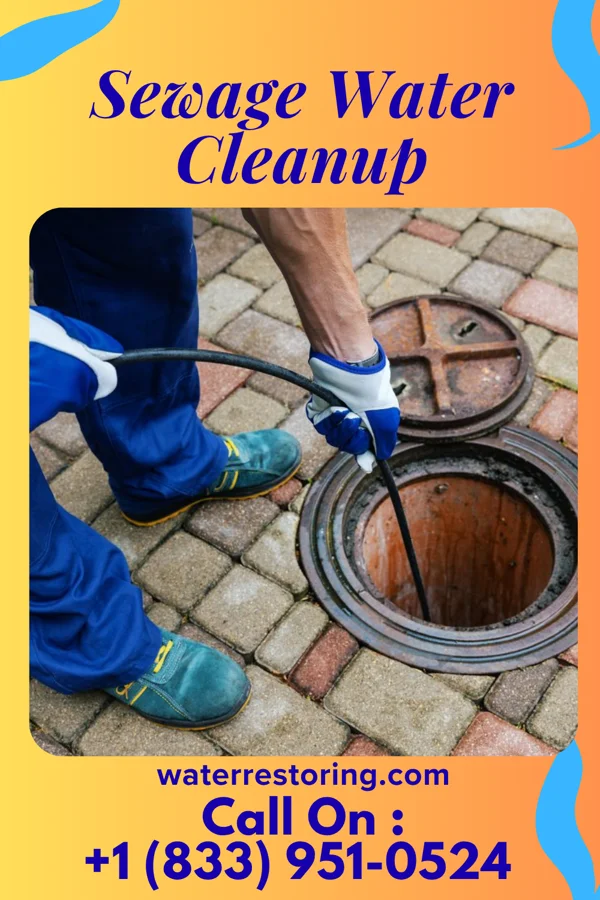 Sewage Water Cleanup in Weweantic, MA
