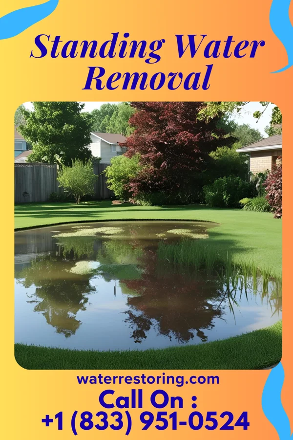 Standing Water Removal in Weweantic, MA